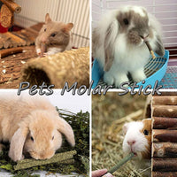 Bunny Chew Toys