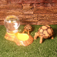 Distributeur d'eau pour reptiles