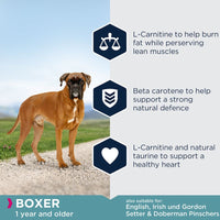 Eukanuba Boxer Adult Dog Food