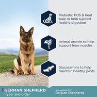 Eukanuba German Shepherd Adult Dog Food