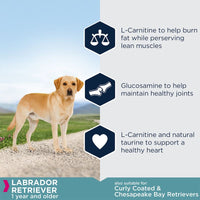 Eukanuba Labrador Retriever Adult Dog Food