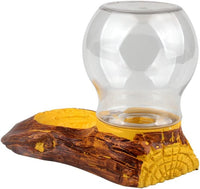 Distributeur d'eau pour reptiles