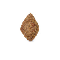 Arden Grange Adult - Salmon & Rice Dog Food