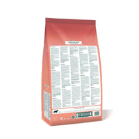 Arden Grange Adult - Salmon & Rice Dog Food