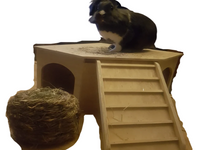 Playhouse with Ramp Rabbit Hutch House