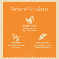 James Wellbeloved Senior Pouches – Turkey with Rice Dog Food