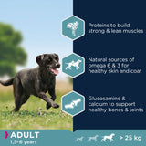 Eukanuba Adult Large Breed - Chicken Dog Food