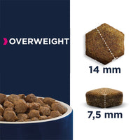 Eukanuba Daily Care Overweight Adult Dog Food