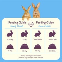Burgess Excel Junior & Dwarf Rabbit Nuggets with Mint Rabbit Food