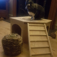Playhouse with Ramp Rabbit Hutch House