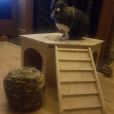 Playhouse with Ramp Rabbit Hutch House
