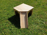 Playhouse with Ramp Rabbit Hutch House