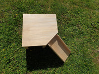 Playhouse with Ramp Rabbit Hutch House