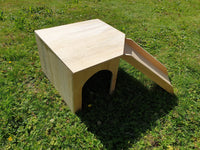 Playhouse with Ramp Rabbit Hutch House