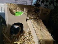Meerschweinchen-Schloss, Unterschlupf, Versteck, zweistöckiges Versteck, Herrenhausmöbel, Bewegungsspielzeug mit verbesserter Leiter mit Stufen