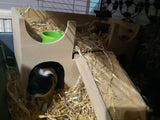 Meerschweinchen-Schloss, Unterschlupf, Versteck, zweistöckiges Versteck, Herrenhausmöbel, Bewegungsspielzeug mit verbesserter Leiter mit Stufen