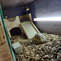 Half Castle Tortoise Table Vivarium House