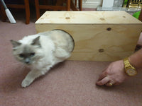House Hutch Tunnel Shelter Hideout Hide Hideaway Playhouse for Cats 24''x12'x10'