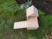 Tortue Reptile Vivarium Terrarium Maison