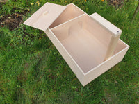 No Mesh Lid Tortoise Table