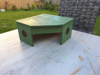 Peek a Boo Reptile Vivarium Terrarium House
