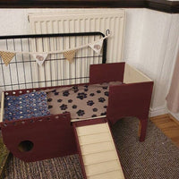 Pirate Ship Hedgehog Home