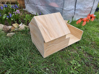 Guinea Pig Reptile Vivarium Terrarium House