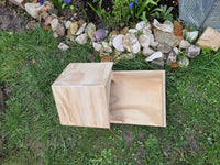 Guinea Pig Reptile Vivarium Terrarium House