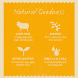 James Wellbeloved Adult Grain Free Pouches - Lamb with Vegetables Dog Food
