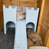 Large Castle Rabbit hutch house