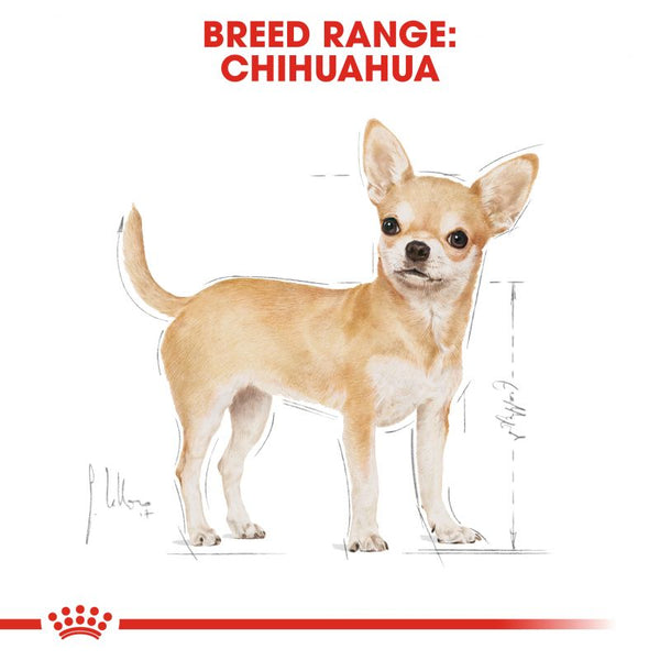 Royal canin chihuahua sales puppy food reviews