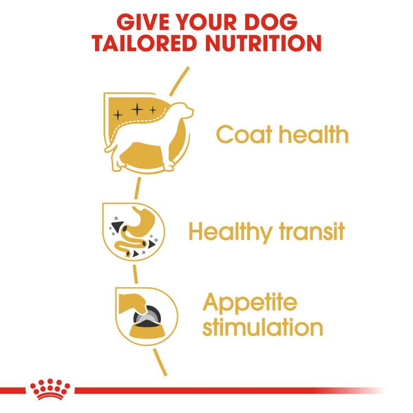 Royal canin breed health nutrition chihuahua online