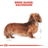 Royal Canin Breed Wet Dachshund Mousse Dog Food