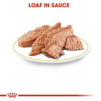 Royal Canin Breed Wet Dachshund Mousse Dog Food