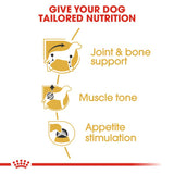 Royal Canin Breed Wet Dachshund Mousse Dog Food