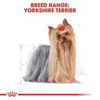 Royal Canin Breed Yorkshire Terrier Mousse Dog Food