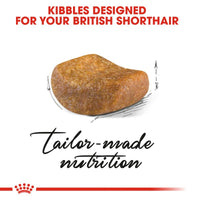 Royal Canin British Shorthair Adult Cat Food