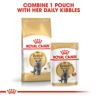 Royal Canin British Shorthair Adult Cat Food