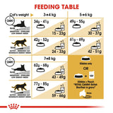 Royal Canin British Shorthair Adult Cat Food