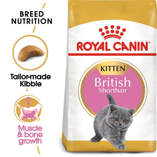 Royal Canin British Shorthair Kitten Cat Food