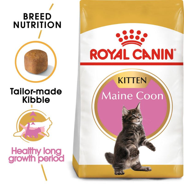 Royal Canin Maine Coon Kitten Cat Food