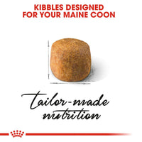 Royal Canin Maine Coon Adult Cat Food
