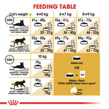 Royal Canin Maine Coon Adult Cat Food