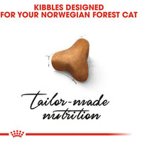 Royal Canin Nourriture pour chats des forêts norvégiennes 