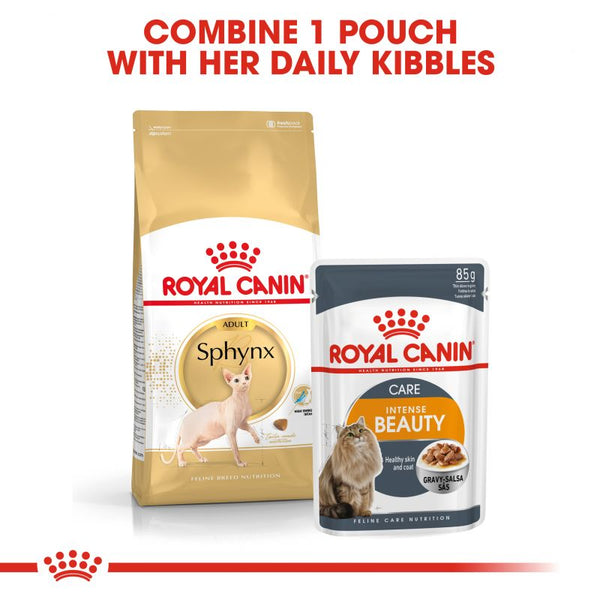 Royal canin sphynx adult 2025