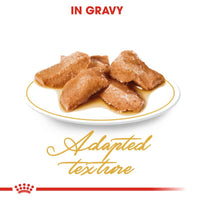 Royal Canin Breed Maine Coon Cat Food