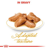Royal Canin Breed Maine Coon Cat Food