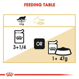 Royal Canin Breed Maine Coon Cat Food