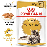Royal Canin Breed Maine Coon Cat Food