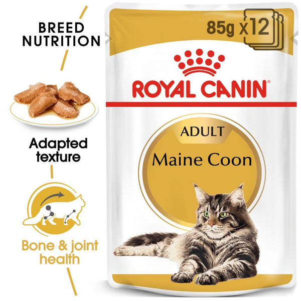 Royal Canin Breed Maine Coon Cat Food